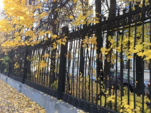Ограда по Ленинскому проспекту, ул. Ляпунова и ул. Губкина (Гагаринский)