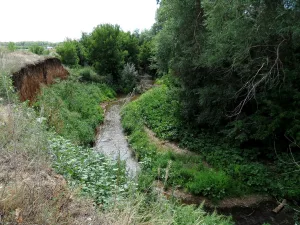 Камыш-Самарка