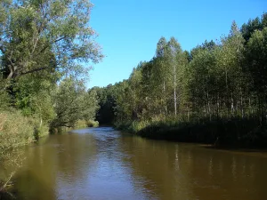 Барнаулка