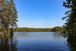 Плетнёвое