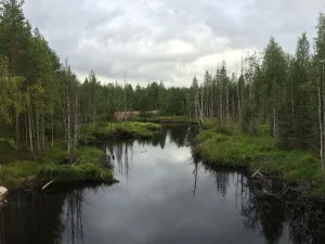 Колежма