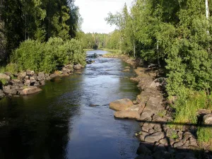Сухая Водла