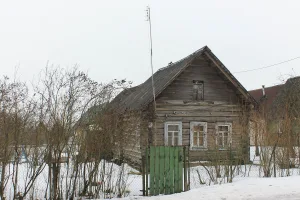 Дом (Лампово)