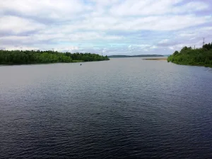 Лужма