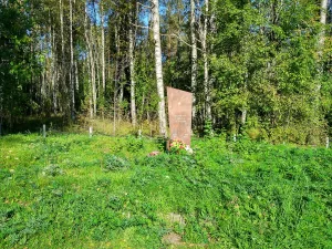 Братская могила советских воинов (Питкярантское г.п.)