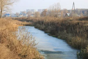 Шамка