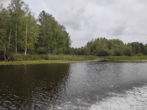 Сустрежа