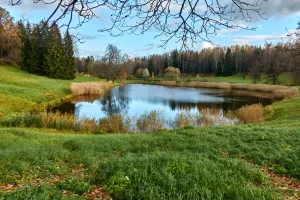 Круглое озеро (Павловск)