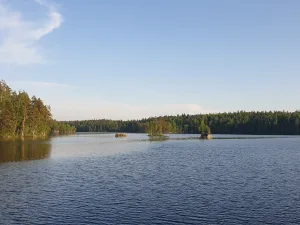 Лебединое озеро