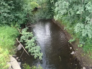 Пяля