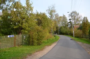 Историческая планировка (Павловск)