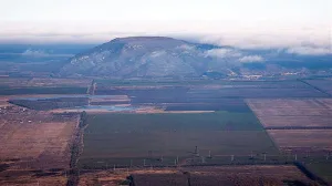 Лысая