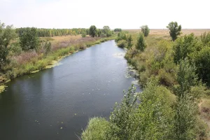 Камсак