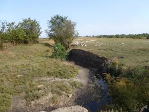 Айгурка