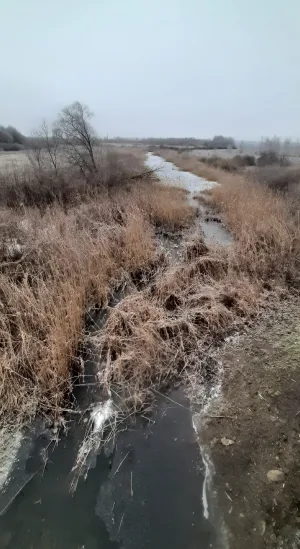 Иловай