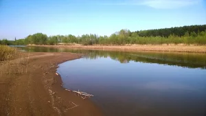 Шуранка