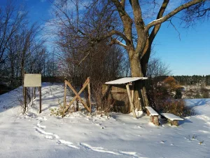 Никульчинское городище