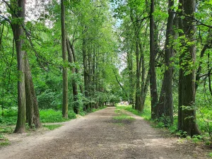 Парк (Ясенево)