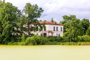 Больница (Рогожинский)
