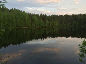Лоут
