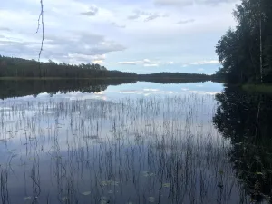 Кариярви