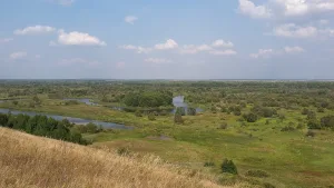 Ворона