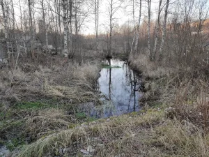 Сельгская Речка