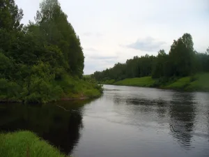 Кунож