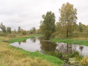 Уча