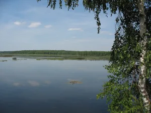 Мера