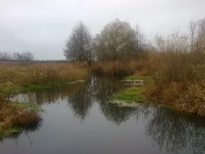 Изовка