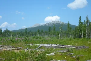 Сосьвинский Камень