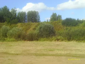 Городище (Устюжна)