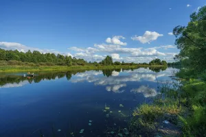 Лух