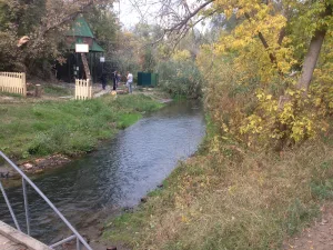 Царица