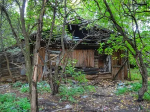 Бывший дом лесопромышленника Серебрякова (Тверь)