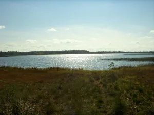 Шулеское