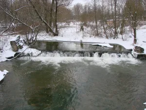 Парк (Горбунки)