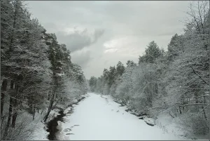 Малая Сестра