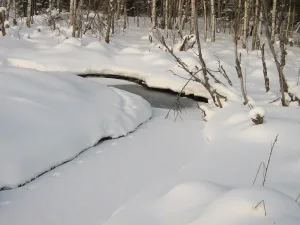 Смородинка