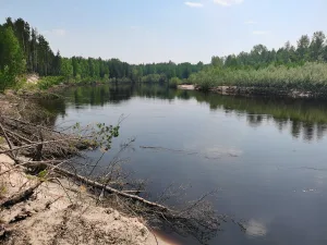 Улуюл