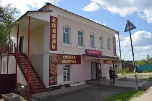 Жилой дом (Большое Село)