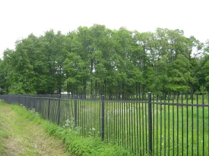 Парк (Ломоносов)