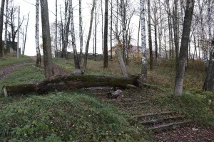 Усадьба (Константиновский)