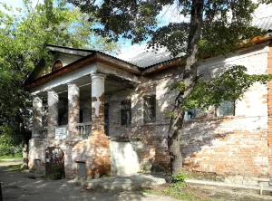 Дом Лесина (Миасс)
