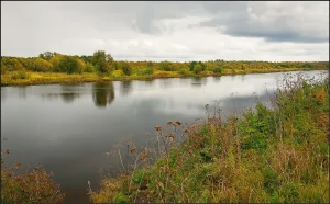 Юрас
