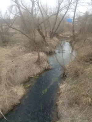 Ватца