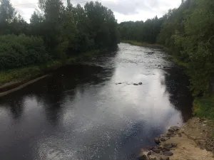 Пяльма