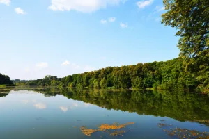 Парк с прудами (Богородицк)