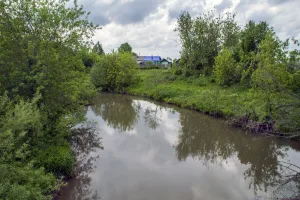 Суна